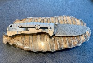 LionSteel SR2DRG (Italy)