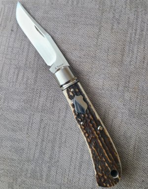 Vetrov Stag Backpocket...lanyard tube...M390...4.25" closed...coa and slip