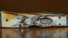 Case Mini Copperlock 61749 Genuine Stag 1998 #276
