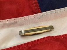 Case xx 1999 Peanut Knife (MDL# 5220 SS) w/ Great Stag Handles -NOS in M/NM Condition