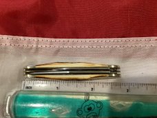 Case xx 1999 Peanut Knife (MDL# 5220 SS) w/ Great Stag Handles -NOS in M/NM Condition