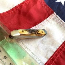 Case xx Early 1990s Peanut Knife (MDL# 5220 SS) w/ Great Stag Handles -NOS in M/NM Condition