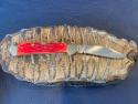 Case XX USA 61749L CV Red Mini Copperlock Pocket Knife Perfect 
