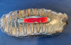 Case XX USA 61749L CV Red Mini Copperlock Pocket Knife Perfect 