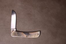 CASE XX 6137 SS SODBUSTER AMBER BONE SAWCUT 2021