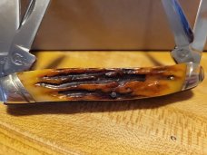 Colt 4 blade knife  congress stag