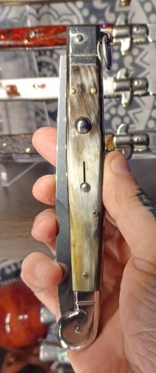 12 inch AGA CAMPOLIN SICILIAN WITH BEAUTIFUL BRAZILIAN HORN 