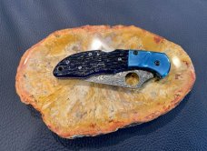 Spyderco Limited Number Delica C10JBBP with Blue-Colored Jigged-Bone Handle