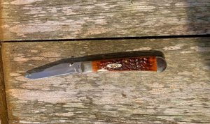Case Trapper Lock 6154L CV Jigged Chestnut Bone