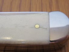 Case XX 2020 Natural Smooth White Bone Trapper Pattern # 6254CV