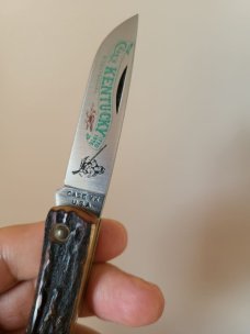 Case XX USA 1976 Stag 5137SS Kentucky Bicentennial Sodbuster Knife