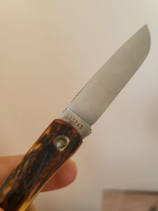 Case XX USA 1976 Stag 5137SS Kentucky Bicentennial Sodbuster Knife