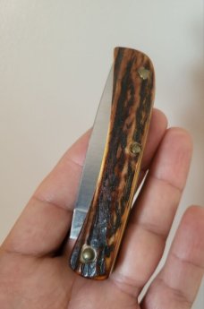 Case XX USA 1976 Stag 5137SS Kentucky Bicentennial Sodbuster Knife