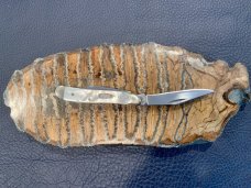 Case XX Peanut 8220 Mother of Pearl Knife with original box and sleeve 