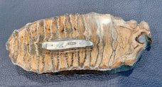 Case XX Peanut 8220 Mother of Pearl Knife with original box and sleeve 