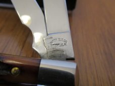 Queen Amber Carved Stag Bone Doctors Knife Pattern #96S