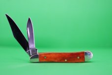 Case XX™ Smooth Chestnut Bone Peanut 6220ss Pocket Knife 28702