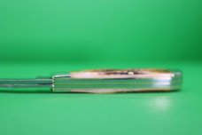Case XX™ 6.5 Bonestag Mini Trapper Stainless Pocket Knife 65305