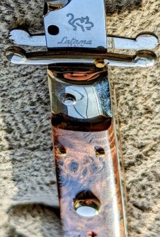 Latama Swinguard 28CM Briar Half Grind-- 5mm 