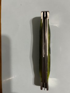 Bear and Sons large trapper