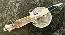 Miniature Italy Switchblade Knife, INOX Over ITALY Mark, Older Style, Interesting Stag
