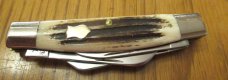 Queen Classics 1 of 50 Winterbottom Bone Congress Pattern #32