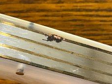 Fight'n Rooster Ltd Ed 1996 "Fort City Knife Collectors" Trapper Knife w/MOP Sc