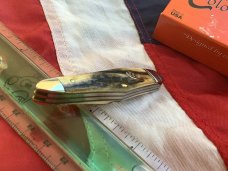 Colonel Coon (by Queen) Humpback Whittler Pocket Knife w/ Great Stag Handles -NOS