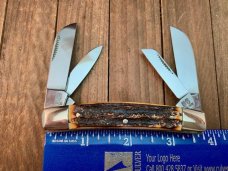 Bulldog Tennessee Walking Horse Congress Stag Bone