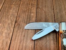 Bulldog Tennessee Walking Horse Congress Stag Bone