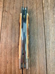 Bulldog Tennessee Walking Horse Congress Stag Bone