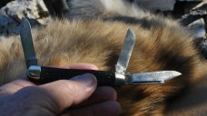 Utica Kutmaster Stockman 4" Closed All 3 Blades Snap Master Blade Marked Property Of U.S. Govt.