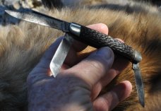 Utica Kutmaster Stockman 4" Closed All 3 Blades Snap Master Blade Marked Property Of U.S. Govt.