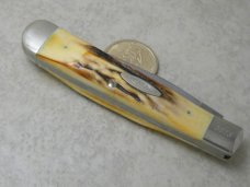 Case XX Stainless 5154 Stag 1 Blade Trapper Knife 1979 NKCA Club Knife