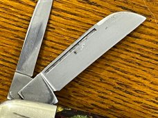 Platts Bros 4-Blade Congress Knife w/Celluloid Scales Germany