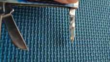 Case XX