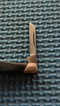 Buck