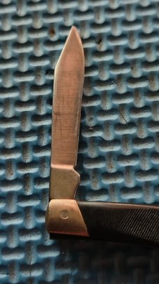 Buck