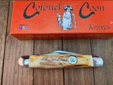 Colonel Coon by Queen Medium Stockman Stag