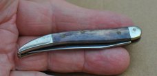 Case Texas Toothpick Mint Mirror Polish 3" Closed Apaloosa Bone Trusharp Surgical Steel