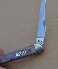 Case Texas Toothpick Mint Mirror Polish 3" Closed Apaloosa Bone Trusharp Surgical Steel