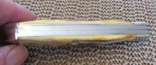Case XX 1998 Stag Trapper Pattern # 5254 SS