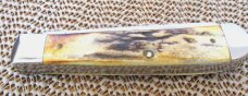 Case XX 1998 Stag Trapper Pattern # 5254 SS