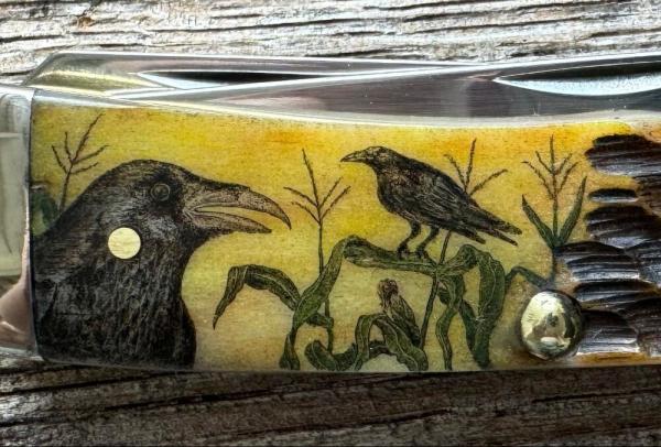 CASE XX TRAPPER KNIFE COLOR SCRIMSHAW of TWO CROWS IN A CORN PATCH OOAK