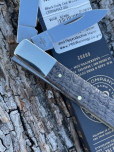 CASE XX ** 2024 SMOOTH BLACK CURLY OAK BRASS SHIELD RAZOR