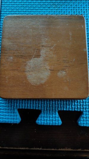 Sportsman Collectible