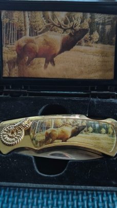 Collector Box 