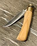 Antonini "Old Bear" Olive wood Outdoor knife with Clip Point blade and brass locking ring (S)