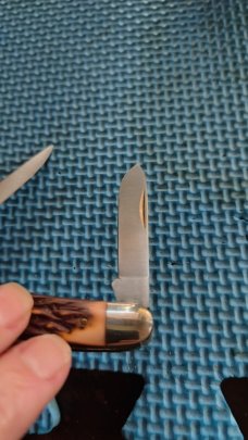 Schrade + 