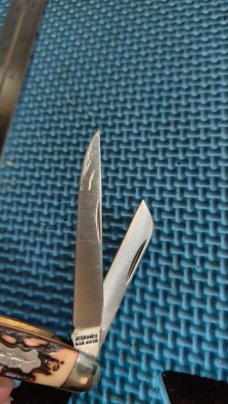 Schrade + 